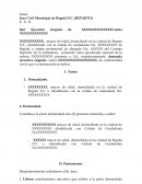 DEMANDA EJECUTIVA POR CANON