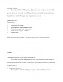 Acta de junta general extraordinaria: Análisis de transacciones