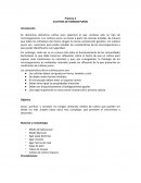 Práctica 4 CULTIVOS DE HONGOS PUROS