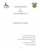 ENFERMEDAD VASCULAR CEREBRAL. Composición y organización de la materia viva