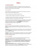 Antiguo régimen y revolución francesa