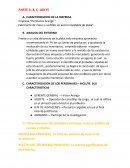 INFORMES DE CARACTERIZACION DE LA EMPRESA