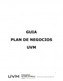 ¿Qué es un Plan de Negocios? . . . . .