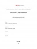 INFORMES DE DISEÑO DE PROYECTOS DE EXPORTACION