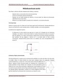 Metodo punto por punto