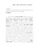 Amparo constitucional (con detenido)