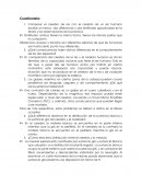 Comparacion de cerebros