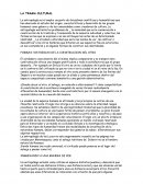 APUNTES : LA TRAMA CULTURAL