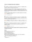 CICLO CONDICIONADO (WHILE)