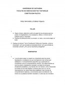 CONSTITUCION POLITICA y los articulos