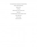 La condición humana: la relación naturaleza cultura