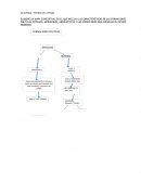 ELABORE UN MAPA CONCEPTUAL EN EL QUE INCLUYA LAS CARACTERÍSTICAS DE LAS FORMACIONES POLÍTICAS ANTIGUAS, MEDIEVALES, ABSOLUTISTAS Y LAS CONDICIONES QUE ANUNCIAN EL ESTADO MODERNO