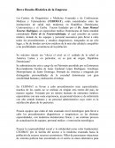 Produccion Breve Reseña Histórica de la Empresa