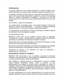 Idea de negocio La empresa Monauto Ltda.