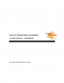 INFORMACION SOBRE LA IDEA DE NEGOCIO