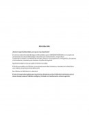 Inocuidad ¿Qué es la agro biodiversidad y por que es muy importante?