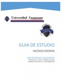 GUIA DE ESTUDIO MICROECONOMIA