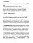 LOS DERECHOS DEL NIÑO