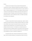 PEC DESARROLLO II Las teorías de la “lógica mental”