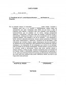 CARTA PODER JUICIO LABORAL