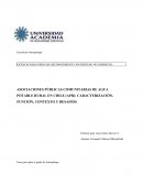 Agua potable rural en Chile (APR): caracterización, función, contexto y desafíos