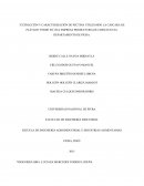 LA EXTRACCIÓN Y CARACTERIZACIÓN DE PECTINA UTILIZANDO LA CÁSCARA DE PLÁTANO VERDE EN UNA EMPRESA PRODUCTORA DE CHIFLES EN EL DEPARTAMENTO DE PIURA.