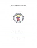 LAS CULTURAS PREHISTÓRICAS