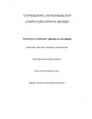 Entrevista Personal (Basado en mi trabajo)