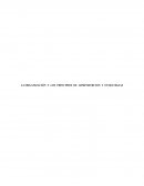 LA ORGANIZACIÓN Y LOS PRINCIPIOS DE ADMINISTRCION Y ESTRATEGIAS