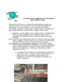 LA CONTAMINACIÓN AMBIENTAL EN MI DISTRITO