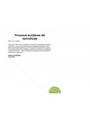 PROCESOS AUXILIARES PARA EL APRENDIZAJE