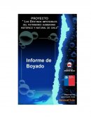 INFORME DE BOYADO.