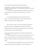 El capital humano es el conjunto de conocimientos y destrezas de una población