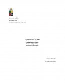 La performance en Chile