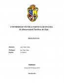 Presupuesto Industria Agrícola Pecuaria S.A., INNAPESA