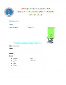 Practica de venopuncion Atrapamos un pequeño animal como lo es la hormiga para su observación