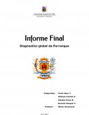 El nuevo Informe del entrono competitivo completo de purranque