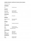 NOMBRES COMUNES Y CIENTÍFICOS DE PLANTAS CON SUS FAMILIAS