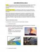 TRABAJO DE CONTAMINACIÓN DEL SUELO