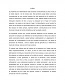 Análisis sobre la deforestación