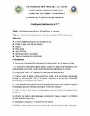 Prueba de patogenicidad con Phytophthora sp., en papa.