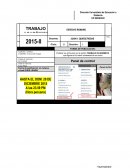 Recuerde verificar la correcta publicación de su Trabajo Académico en el Campus Virtual antes de confirmar al sistema el envío definitivo al Docente.