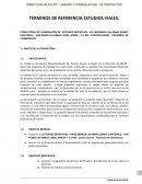 TÉRMINOS DE REFERENCIA ESTUDIOS VIALES.