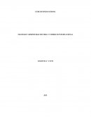 LA ESTRATEGIA LOGÍSTICA DE SAICA .ventajas y desventajas de la creación de la nueva Gerencia de Logística.