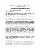 TEXTO DE ANÁLISIS DEL EXPEDIENTE DE EVIDENCIAS