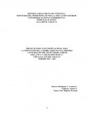 Una nueva Tesis sobre chikungunya