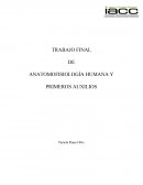 TRABAJO FINAL DE ANATOMOFISIOLOGÍA HUMANA Y PRIMEROS AUXILIOS