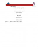 ﻿Práctica N° 1 Circuito RC en serie y paralelo