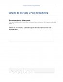 Empresa Deisan es una empresa que se encargara de realizar aplicaciones web prácticamente.