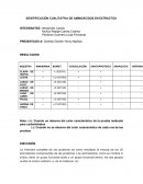 IDENTIFICACIÓN CUALITATIVA DE AMINOÁCIDOS EN EXTRACTOS